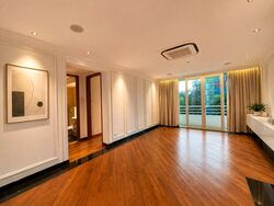 The Hermitage (D10), Apartment #552560391